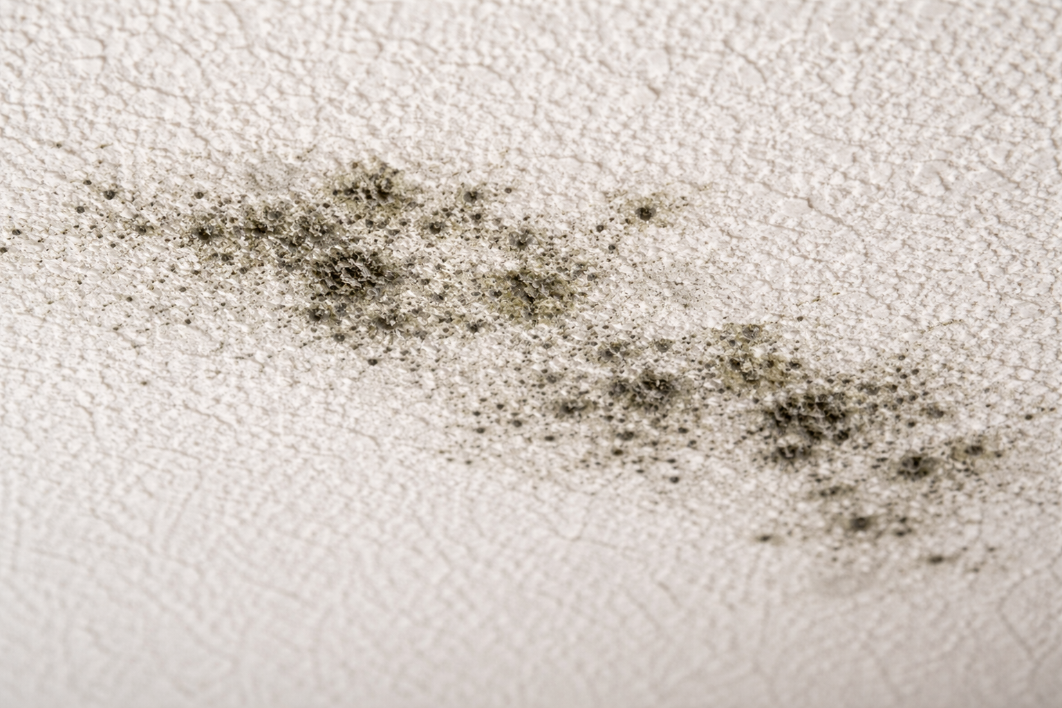 HUMIDITY, CONDENSATION, AND MOLD: WHAT’S NORMAL, WHAT’S NOT, AND WHAT TO DO ABOUT IT